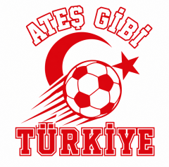 Turkey 2026 Soccer T-Shirt - Ates Gibi - Team Pride Tee image 5
