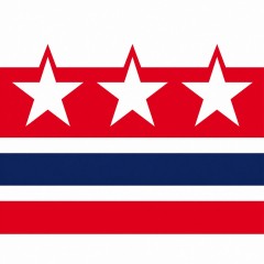 Stars and Stripes Patriotic Baseball Cap - Minimalist American Flag Design image 4