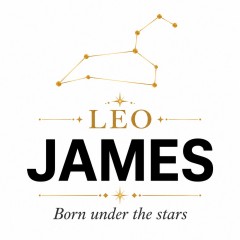 Personalized Leo Zodiac T-Shirt - Custom Constellation Name Tee image 5
