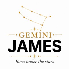 Personalized Gemini Zodiac T-Shirt - Custom Constellation Name Tee image 5