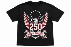 Home of the Brave 250th Anniversary T-Shirt - Team Pride Tee image 2