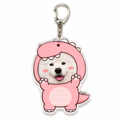 Personalized Pink Dinosaur Pet Photo Keychain, Acrylic Keyring, Cute Monster Gift | Trinmama