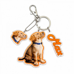 Personalized Pet Photo Keychain Set - Custom Dog Head & Full Body & Name Tag Acrylic Keyring - Unique Gift for Dog Lovers
