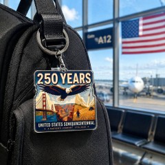 USA 250th Anniversary Keychain - Bald Eagle American Landmarks Acrylic Charm image 3