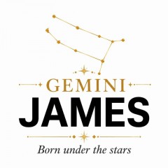 Personalized Gemini Zodiac T-Shirt, Custom Constellation Name, Zodiac Gift | Trinmama image 5
