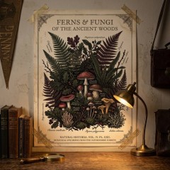Dark Academia Botanical Poster - Vintage Plant Illustration Wall Art Print for Dorm Room, Study, Library Decor (Unframed) image 2